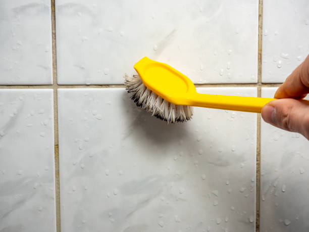 Best Toxic Mold Removal  in Central City, KY
