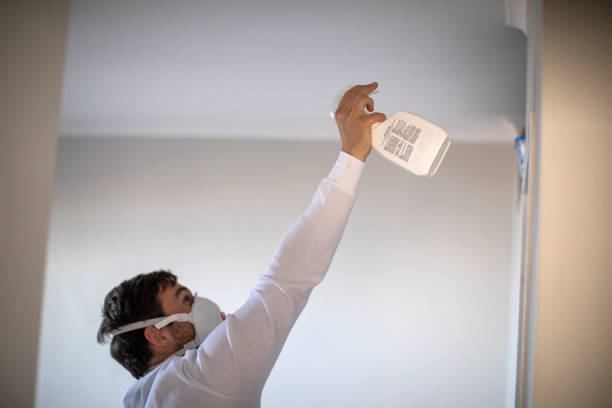 Best Emergency Mold Removal  in Central City, KY