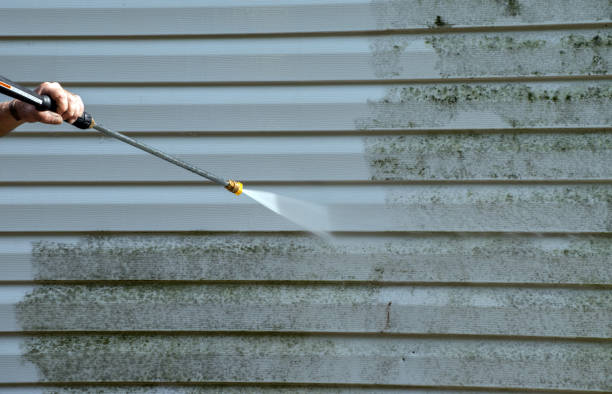Best Emergency Mold Removal  in Central City, KY