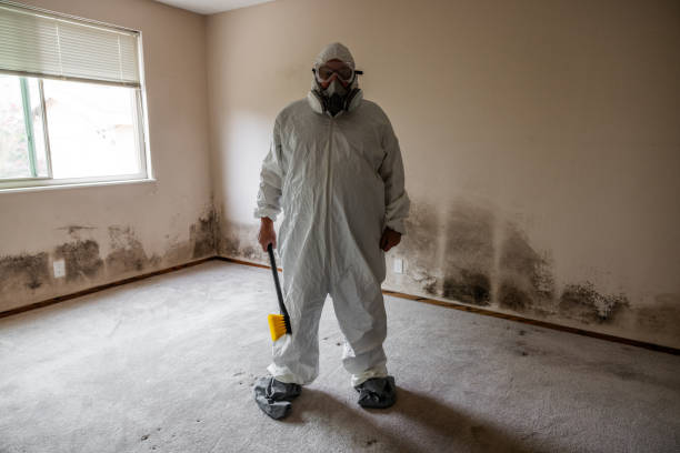 Best Home Mold Removal  in Central City, KY
