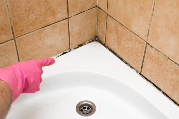 Water Damage Restoration in Central City, KY